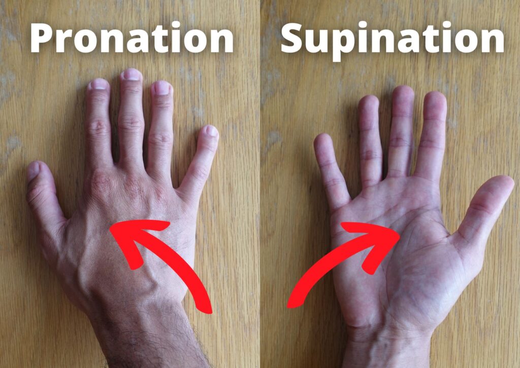forearm pronation and supination