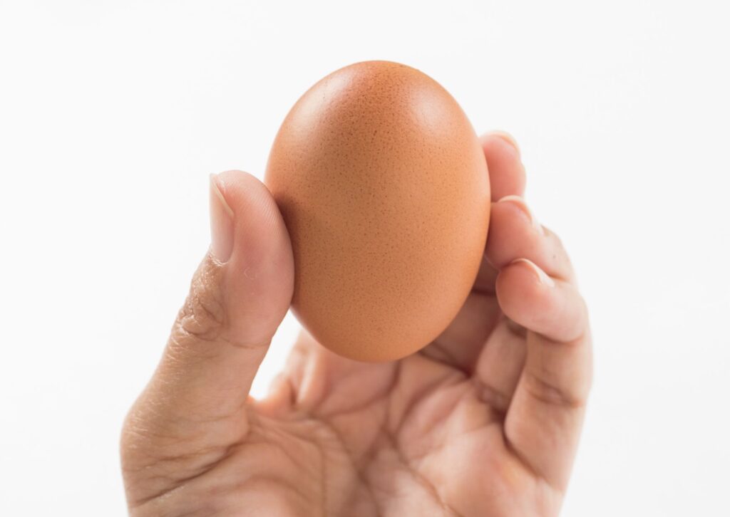 hand-holding-an-egg