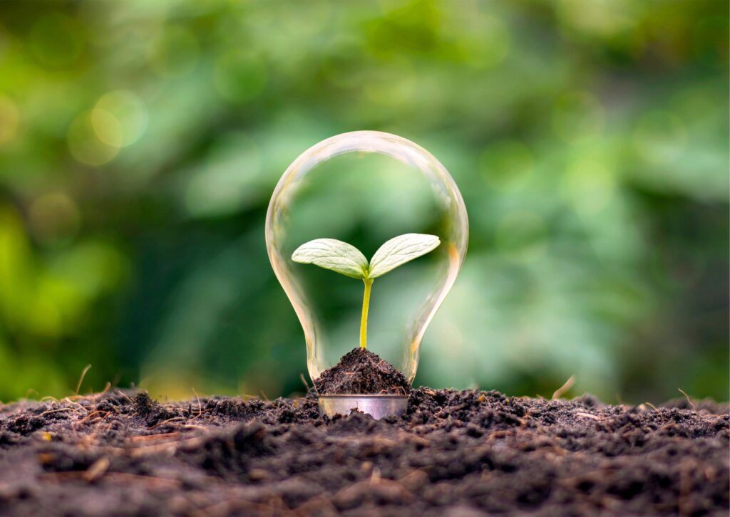 sustainability-lightbulb-growing-from-the-soil