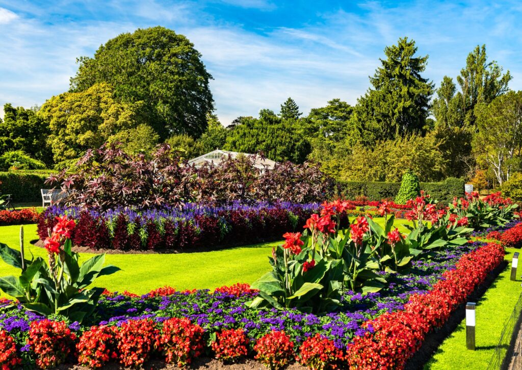 Beautiful-flowers-at-Kew-gardens
